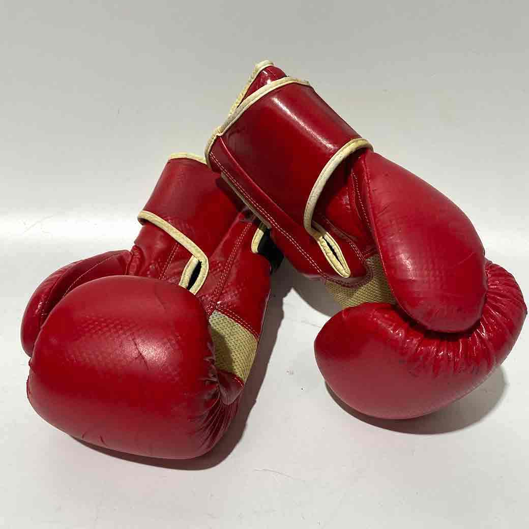 BOXING GLOVES, Adult Red Pair